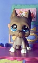 Bluey * Bluey loves to play with his roller skates. * 294 x 480 * (23KB)