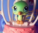 Greeny * Greeny loves to perch in high places. * 552 x 480 * (36KB)