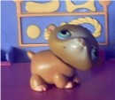 Hammy * Hammy loves to run around the Little Lovin' Pet Playhouse. * 550 x 480 * (30KB)