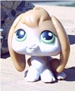 Hoppy * Hoppy loves to hop. * 398 x 480 * (29KB)