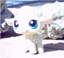 Lamby * Lamby loves to baaaaaaaaaaaaaaaaaaaaaaaaaaaaaaaaaaaaaaaaaaa! * 522 x 480 * (33KB)